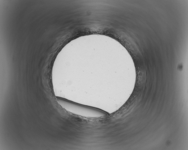 X0000116621249201001081224