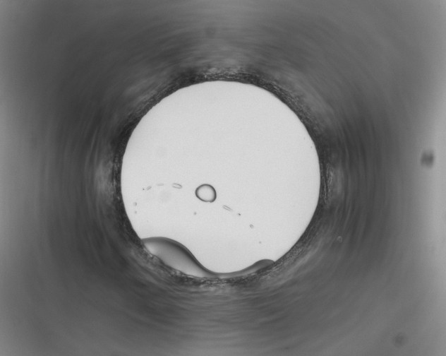 X0000116621250201001081224