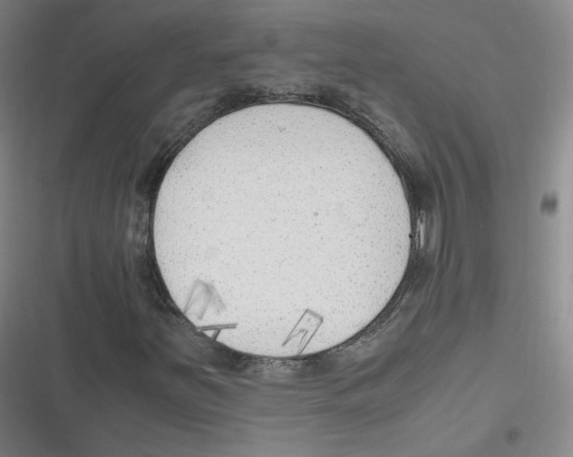 X0000116621251201001081224