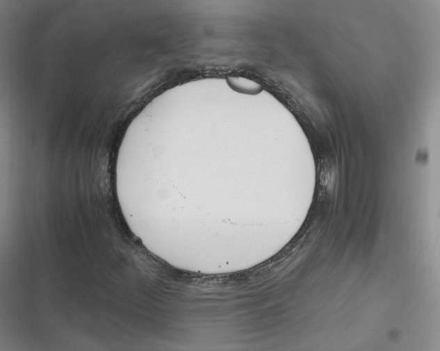 X0000116621252201001081224