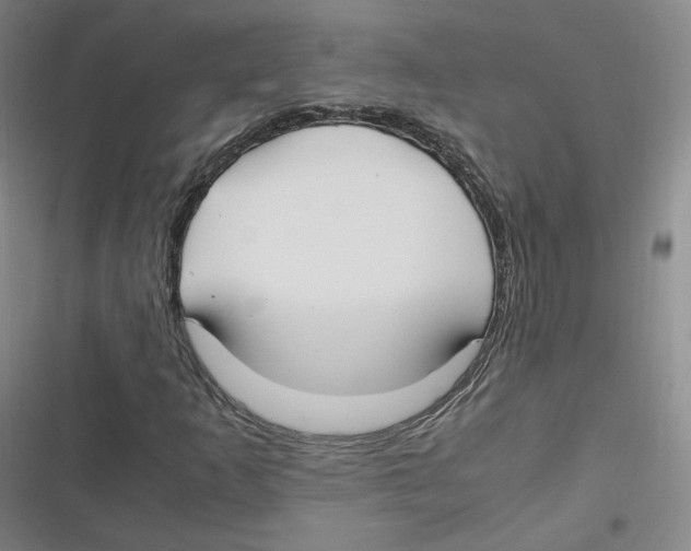 X0000116621253201001081224