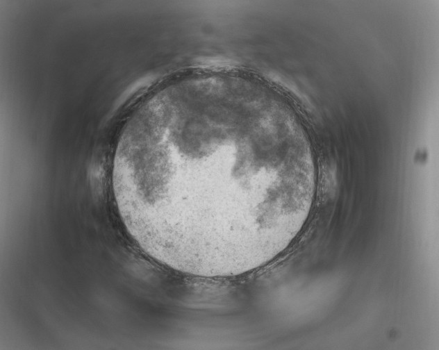 X0000116621254201001081224