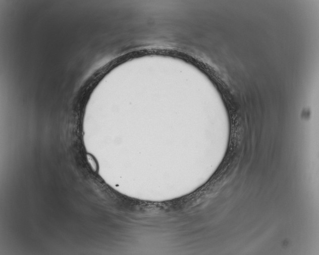 X0000116621255201001081224