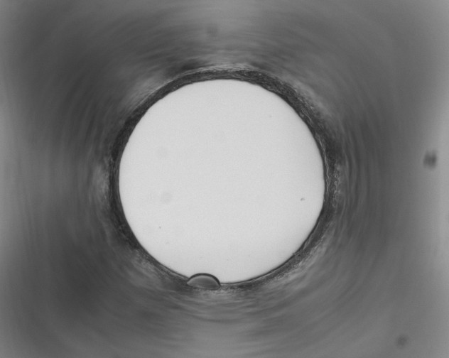 X0000116621257201001081224