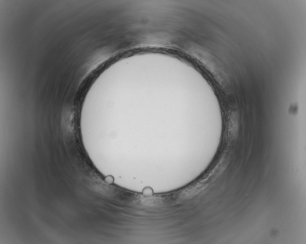 X0000116621258201001081224