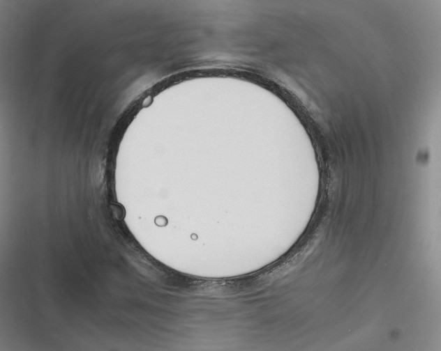 X0000116621259201001081224