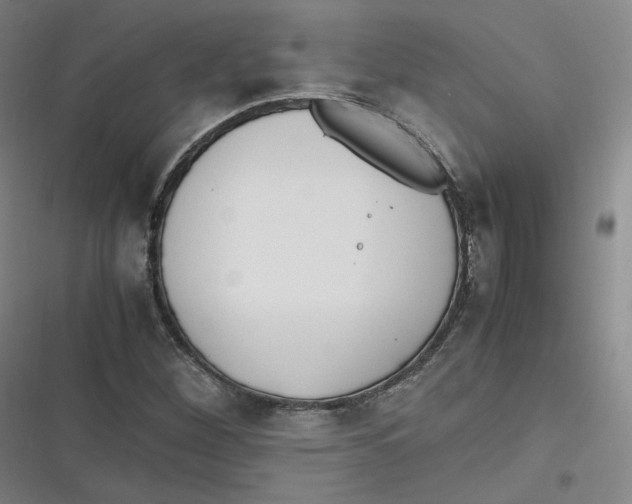 X0000116621260201001081224