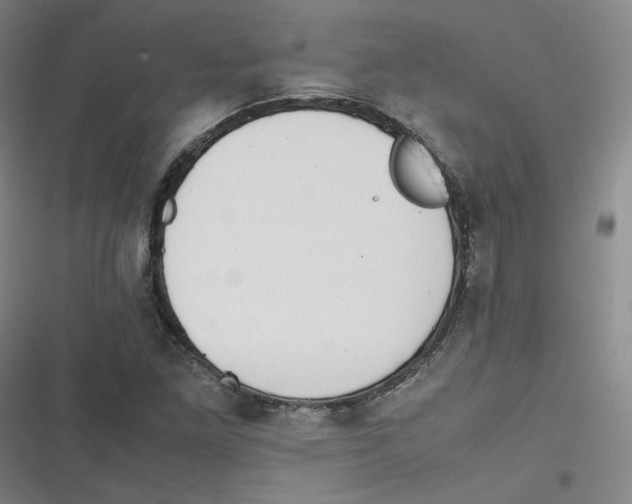 X0000116621261201001081224