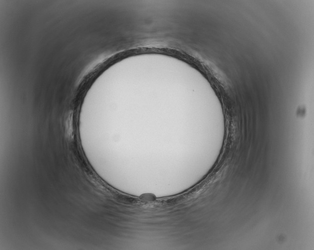 X0000116621262201001081224