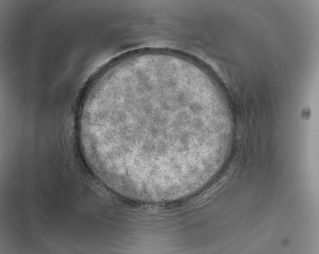 X0000116621263201001081224