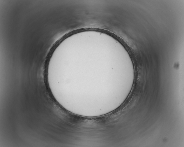 X0000116621264201001081224