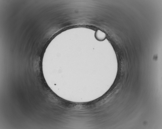 X0000116621265201001081224