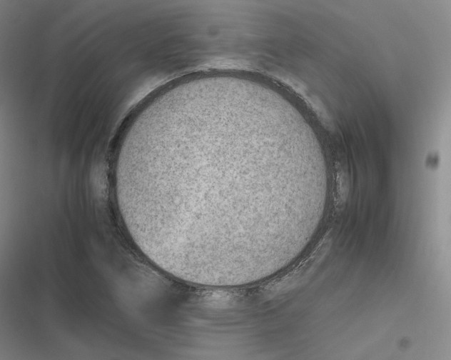 X0000116621266201001081224