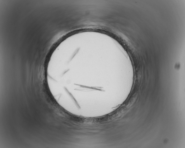 X0000116621267201001081224