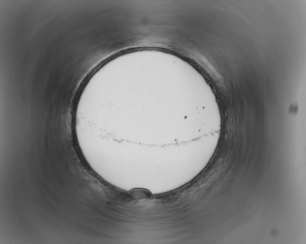 X0000116621268201001081224