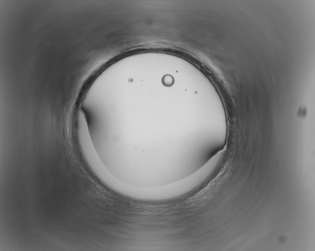 X0000116621269201001081224