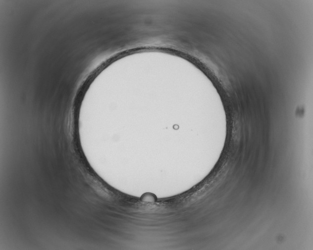 X0000116621270201001081224