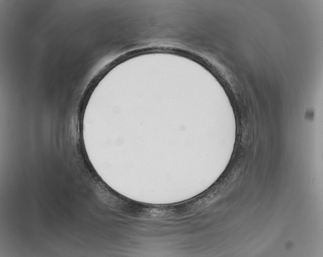 X0000116621271201001081224