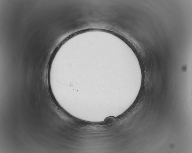 X0000116621272201001081224