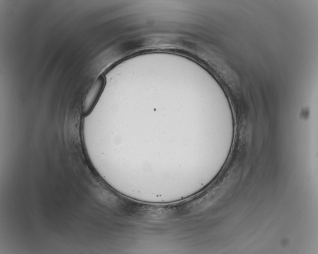 X0000116621273201001081224