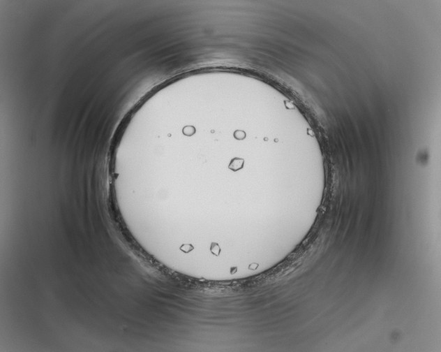 X0000116621274201001081224