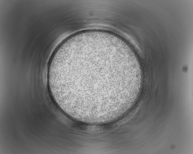 X0000116621275201001081224