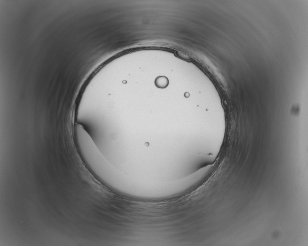 X0000116621276201001081224