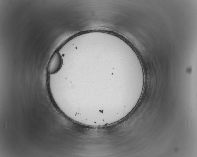 X0000116621277201001081224