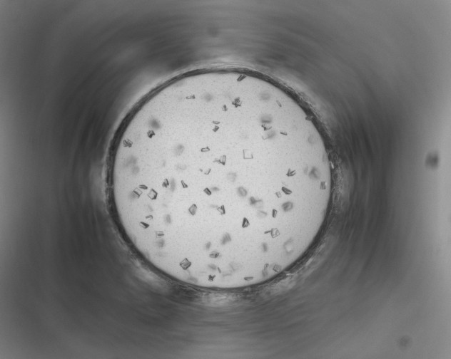 X0000116621278201001081224