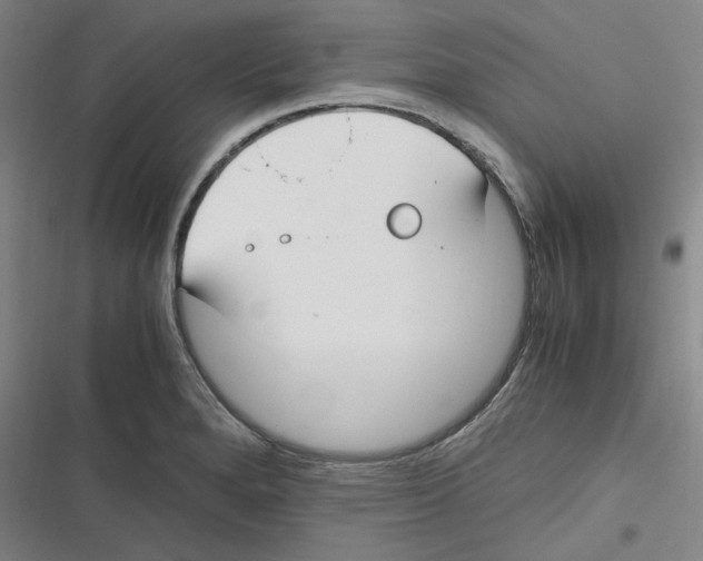 X0000116621280201001081224