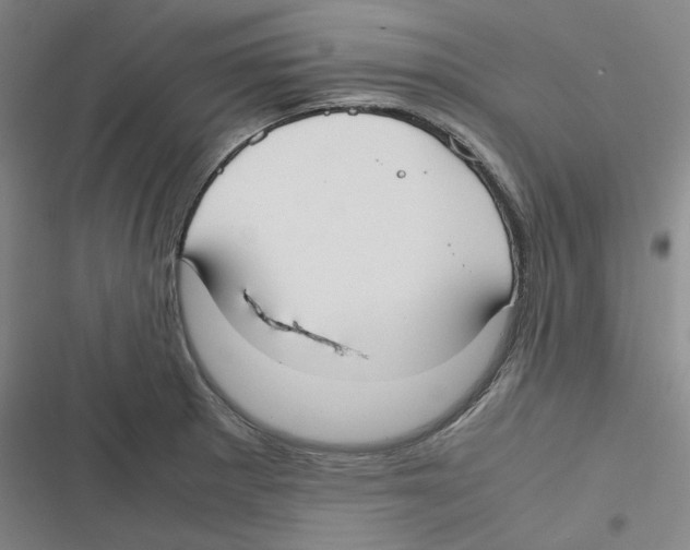 X0000116621281201001081224