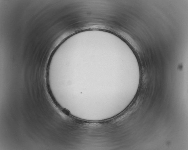 X0000116621282201001081224