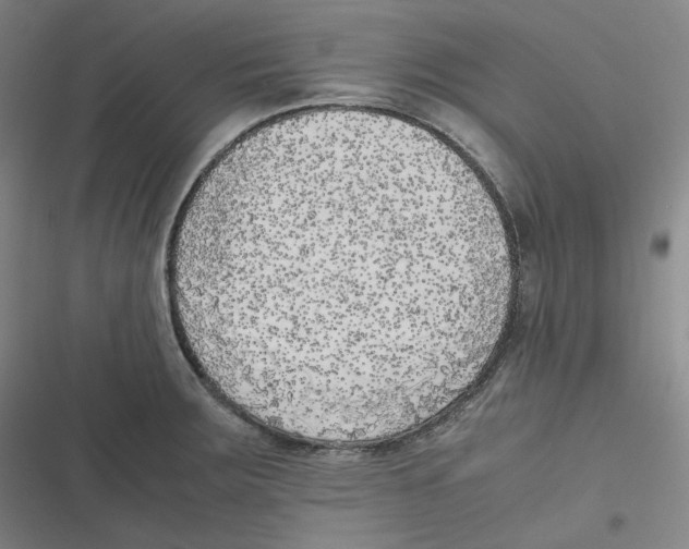 X0000116621283201001081224