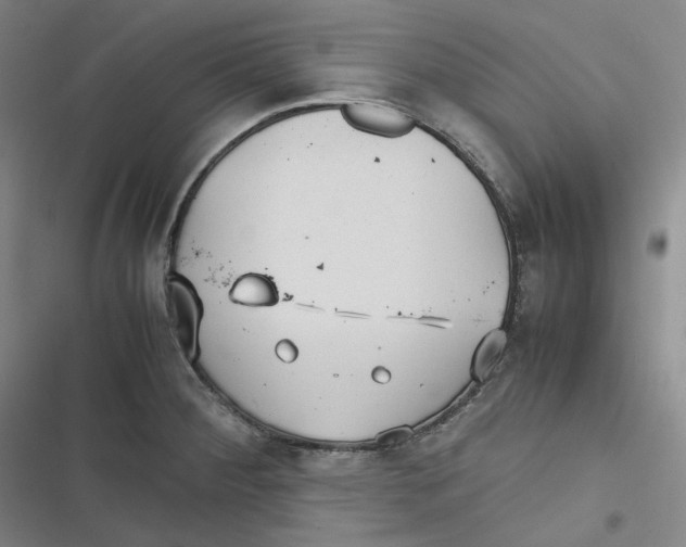 X0000116621284201001081224