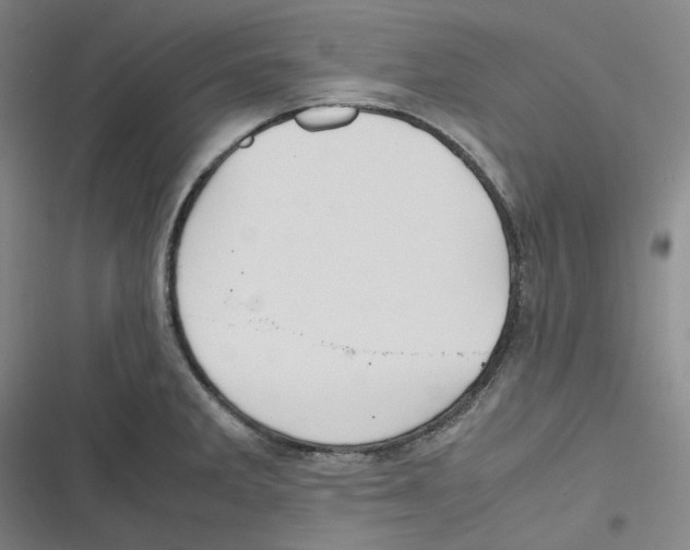 X0000116621285201001081224