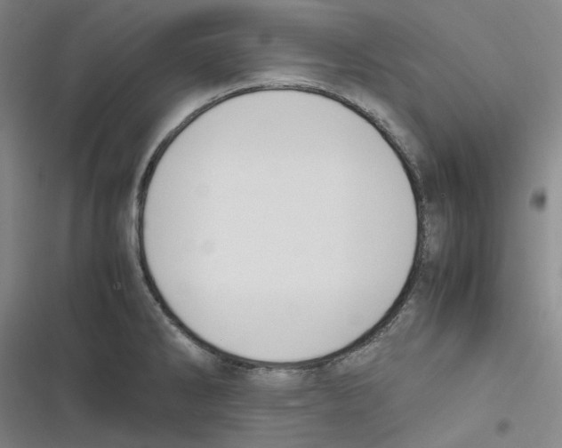 X0000116621286201001081224