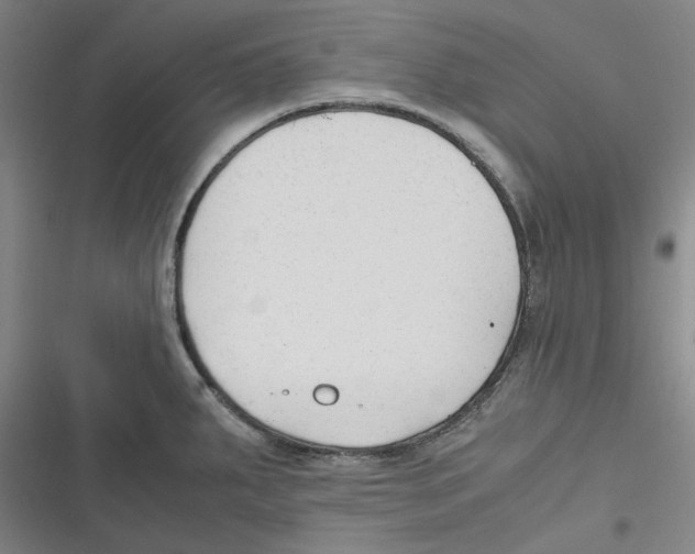 X0000116621287201001081224