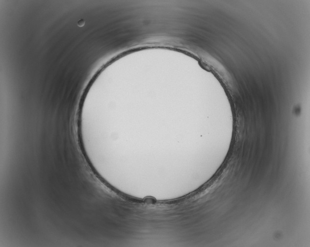 X0000116621288201001081224