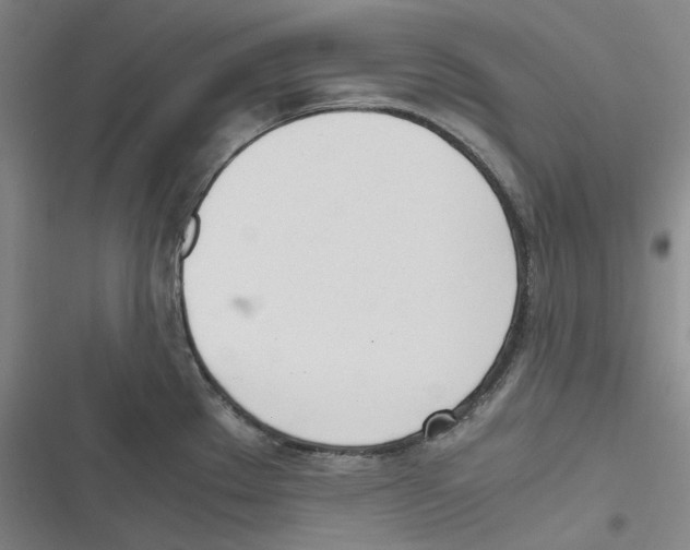 X0000116621289201001081224