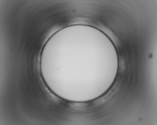 X0000116621290201001081224