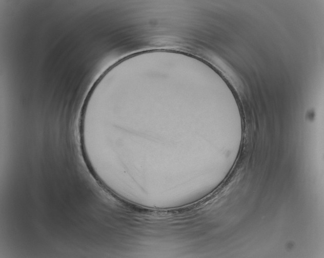 X0000116621291201001081224