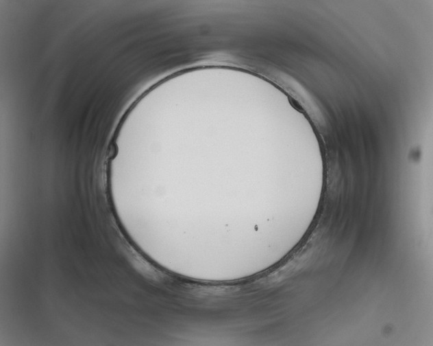 X0000116621292201001081224