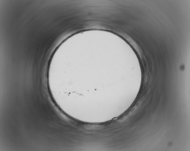 X0000116621293201001081224