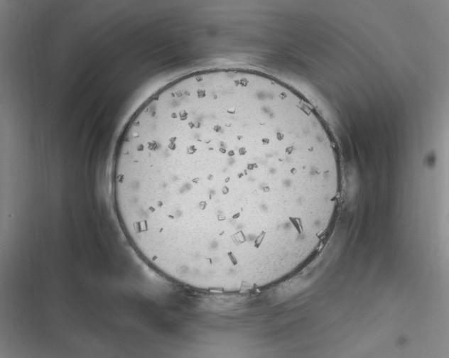 X0000116621294201001081224