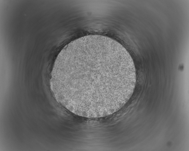 X0000116621297201001081223