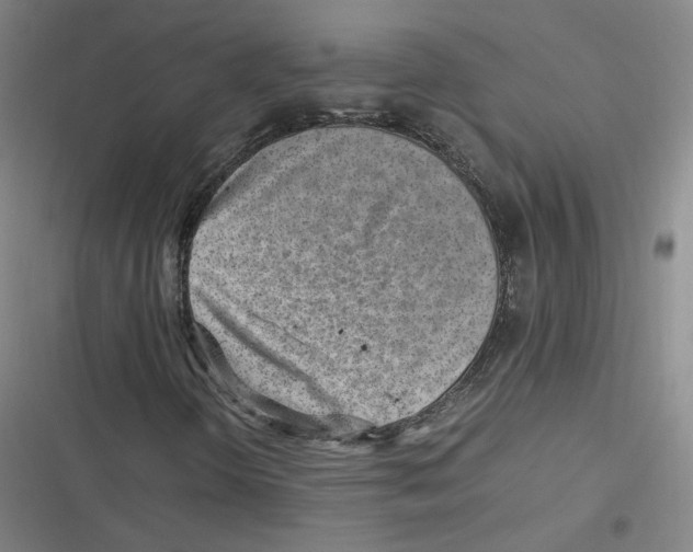 X0000116621298201001081223