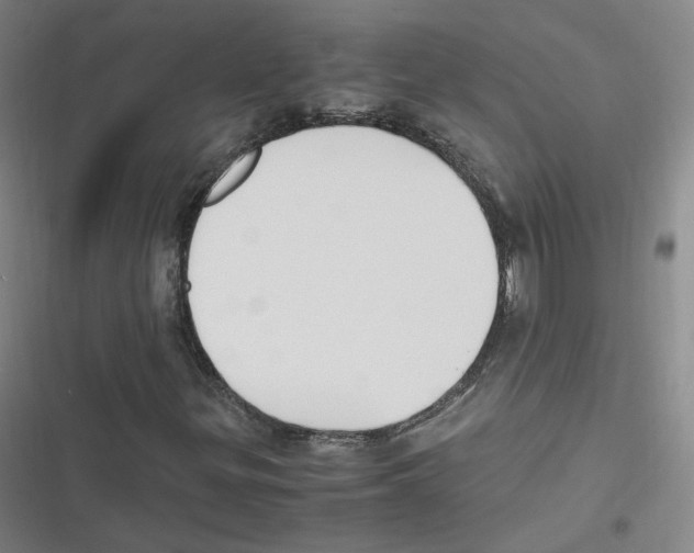 X0000116621299201001081223