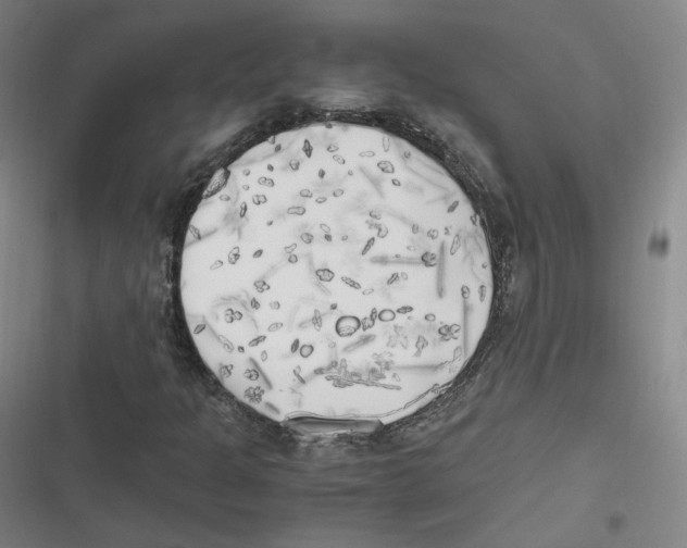 X0000116621301201001081223