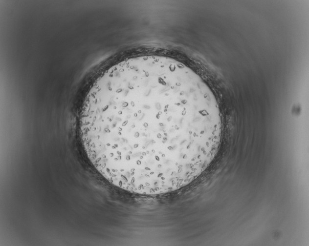 X0000116621302201001081223