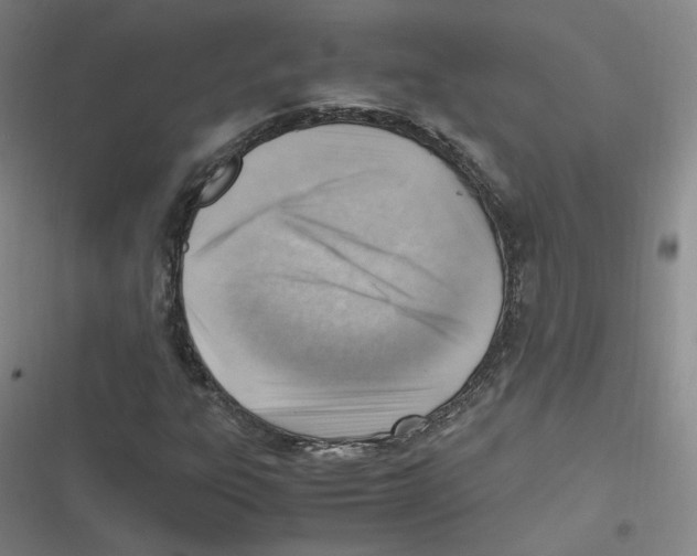 X0000116621303201001081223